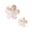 Imagen de Surtido Orquideas (14 ud) 210016