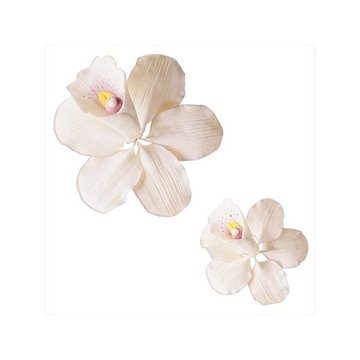 Imagen de Surtido Orquideas (14 ud) 210016