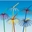 Imagen de Sorbete Palmera PVC.  (100 ud.) S0088