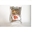 Imagen de Mix Buñuelo Payco (1kg)  040006