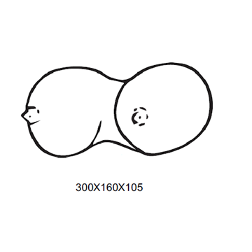 Imagen de Molde PVC Erotico X707