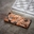 Imagen de Molde Placa PAVÉ (27,5X17,5) PC5006