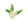 Imagen de Agua de Azahar 0%  (1 Lt) 0200002