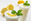 Imagen de Limon Pastaroma GR DA (1 Kg) 21L1