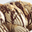 Imagen de Joycream Chocobiscotto (5kg.) 11081