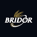 Imagen para la categoría BRIDOR