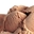 Imagen de Joylife SteviaChoc (1,6kg.) 70836