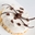 Imagen de Joygelato Mascarpone (1 kg) 70717