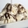 Imagen de Joycream Nocciolata Choc (5kg.) 11430