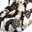 Imagen de Joycream AmoreNero (5 kg) 11152