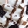 Imagen de Joycream Coconty  5kg 11075