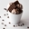 Imagen de Joycream Milk (5 kg) 10020