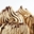Imagen de Joypaste Cafe (1,2 kg) 00226