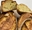 Imagen de Harina Tritordeum (25 kg) 34162