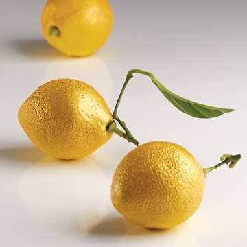 Imagen de Molde LIMON AF006