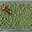 Imagen de Molde CORAL (36X15 cm) TOP105