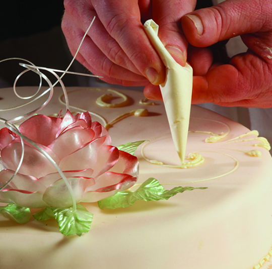media.product.imagealternatetextformat.details