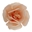 Imagen de Magnolia Oblea Blanca 6,5-7 cm (6 ud) 126158