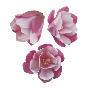 Imagen de Magnolia Oblea Rosa 6,5-7 cm (6 ud) 126150