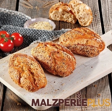 Imagen de Malzperle Plus (25 Kg.)