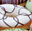 Imagen de Coverdecor White Chocolate (3 kg) 11539