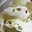 Imagen de Pasta Pistacho Platino (3,5 kg) 2548