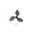 Imagen de Trebol hojas Acebo Verde (72 u) 354145