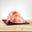 Imagen de Sprint Sandia PG. (1.1 Kg.)  88101