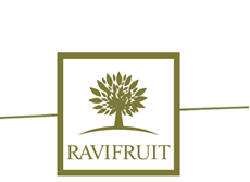 Imagen de Marca de RAVIFRUIT